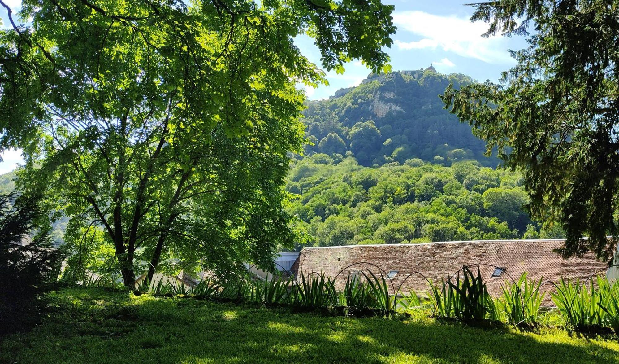 L'Aristoloche Apartman Salins-les-Bains Kültér fotó